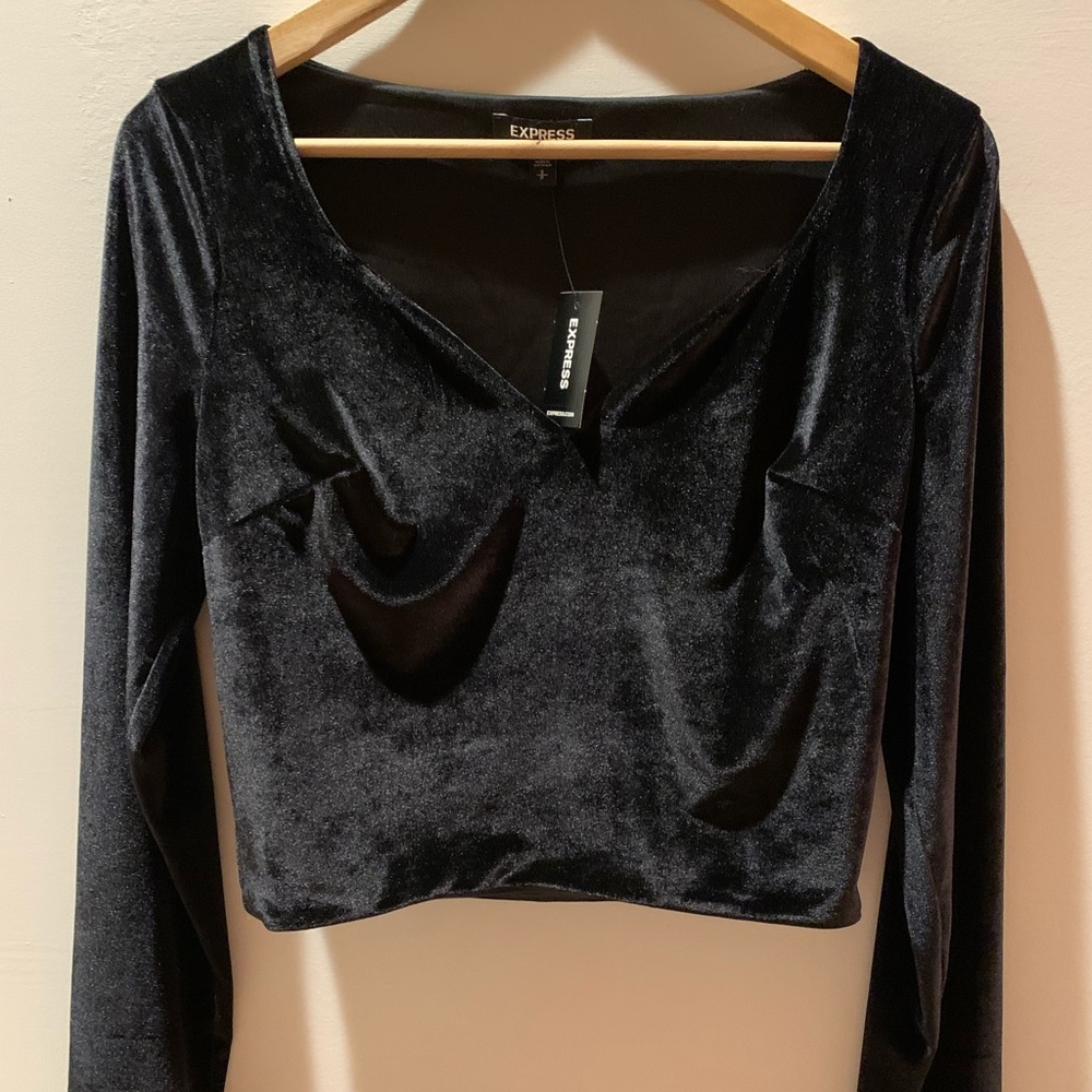 Express velvet crop top